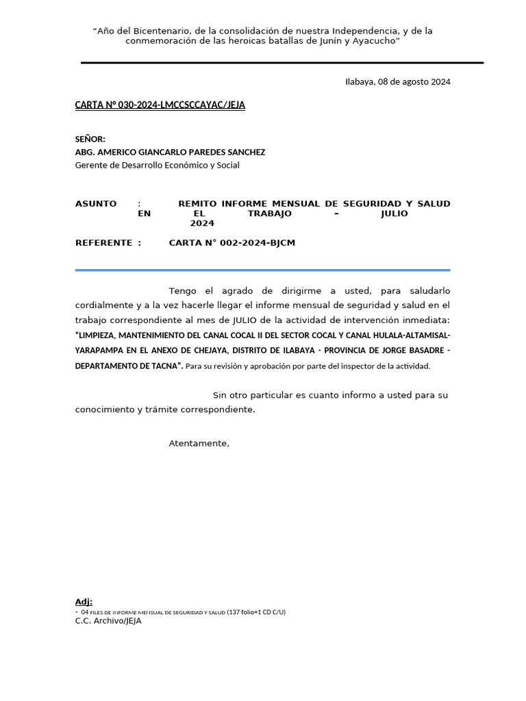 Informe Mensual de Seguridad y Salud 2024 | PDF