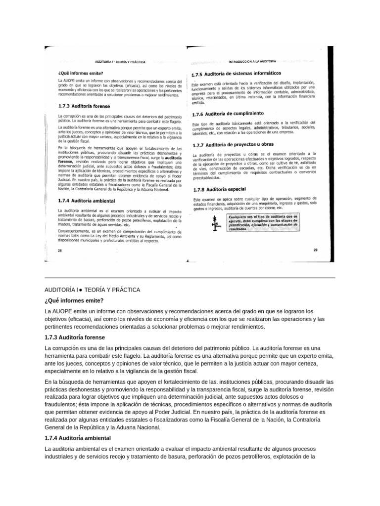 Tipos de Auditoría: Guía Completa | PDF | Auditoría
