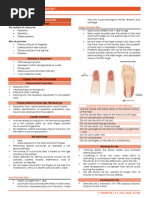 Central Line Blood Draw | PDF | Intravenous Therapy | Saline (Medicine)