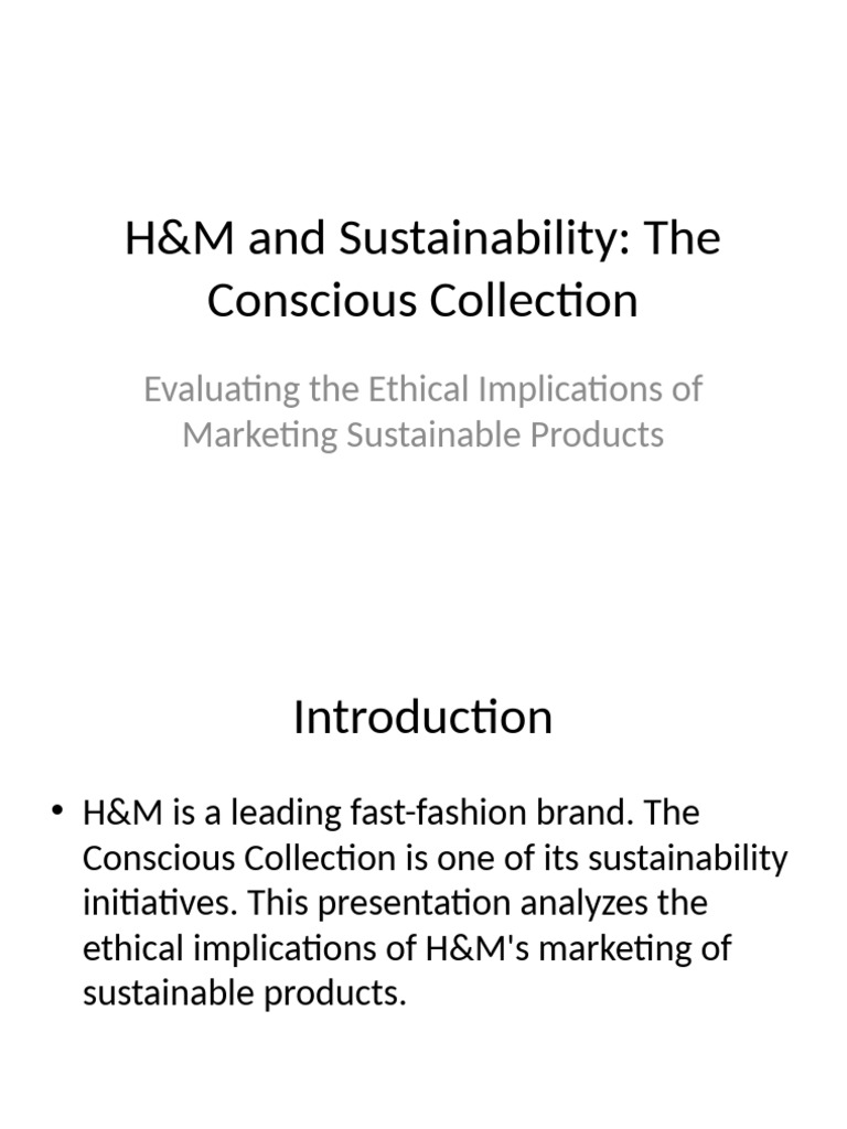 H&M's Conscious Collection: Ethics and Criticism | PDF