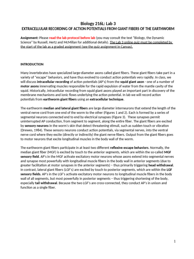 Earthworm Action Potentials Lab Guide | PDF | Axon | Action Potential