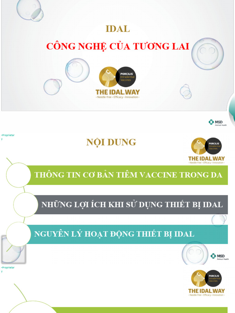 01. Giới thiệu IDAL | PDF