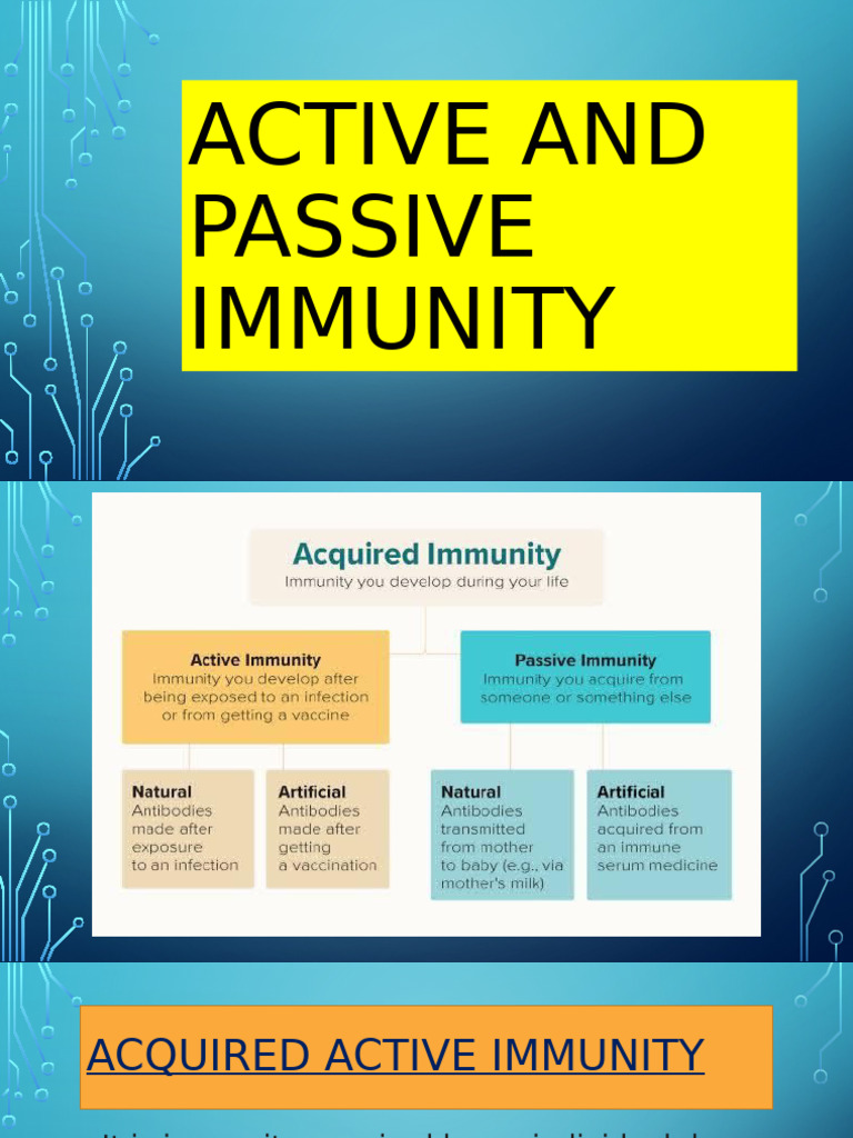 Active vs Passive Immunity Explained | PDF | Vaccines | Immune System
