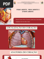 Diretriz Brasileira de Miocardites e Pericardites | PDF | Infarto do ...