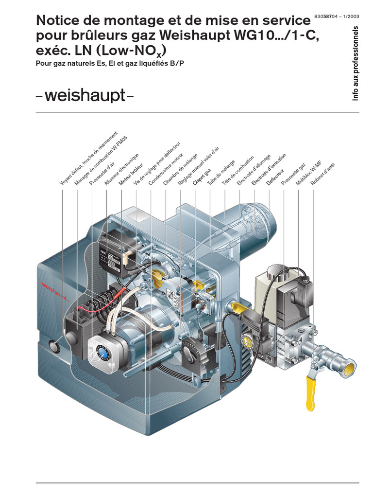 Notice de Montage Brûleur Weishaupt WG10 PDF Soupape Allumage — free download