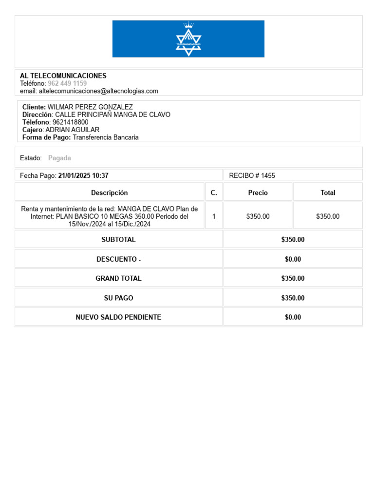 Recibo de Pago por Internet Básico | PDF