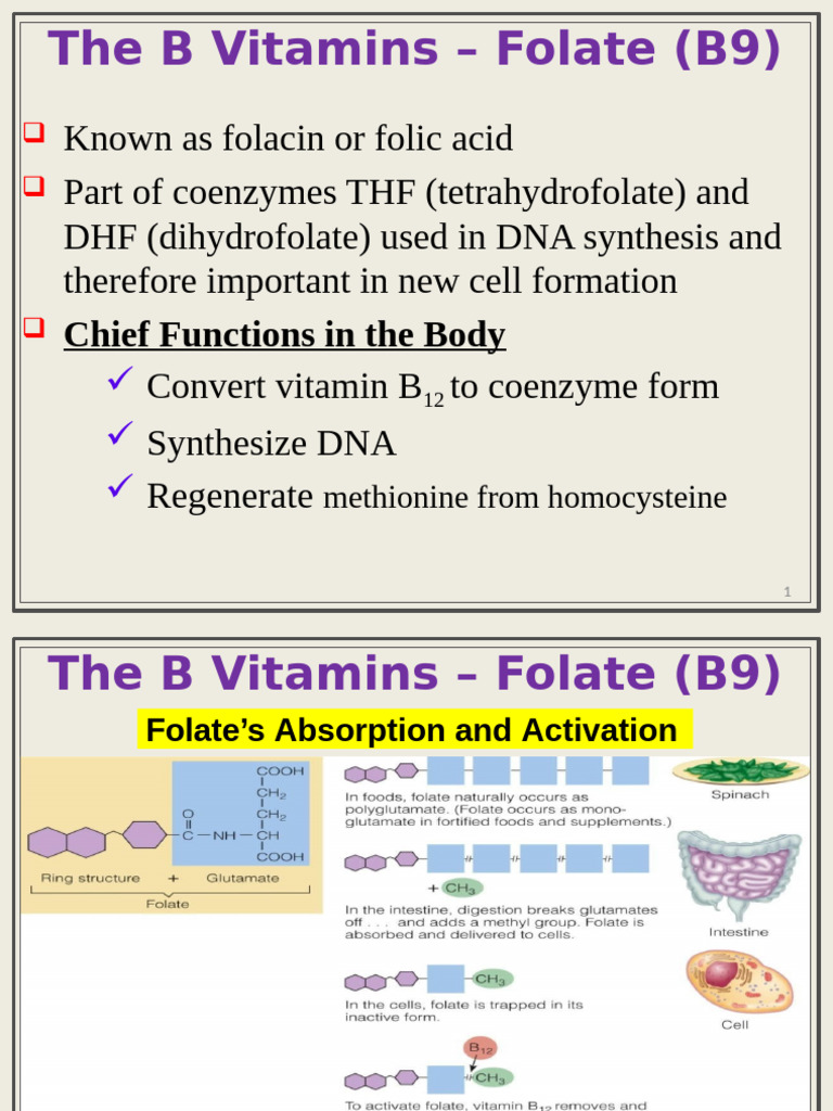 Understanding Folate (B9) Benefits and Risks | PDF | Vitamin B12 ...