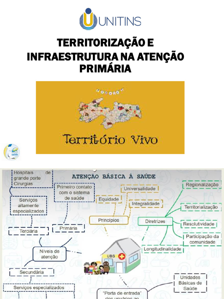 Territorialização na Atenção Primária | PDF | Enfermagem