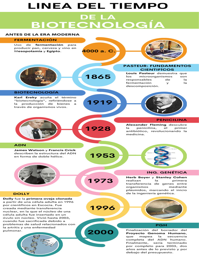 Línea del Tiempo de la Biotecnología | PDF | Adn | Genética