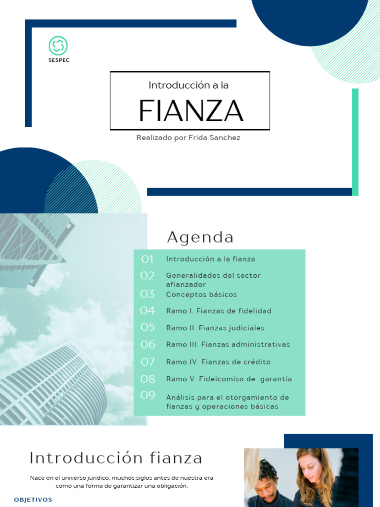 Guía Completa sobre Fianzas en México | PDF | Seguro | Póliza de seguros