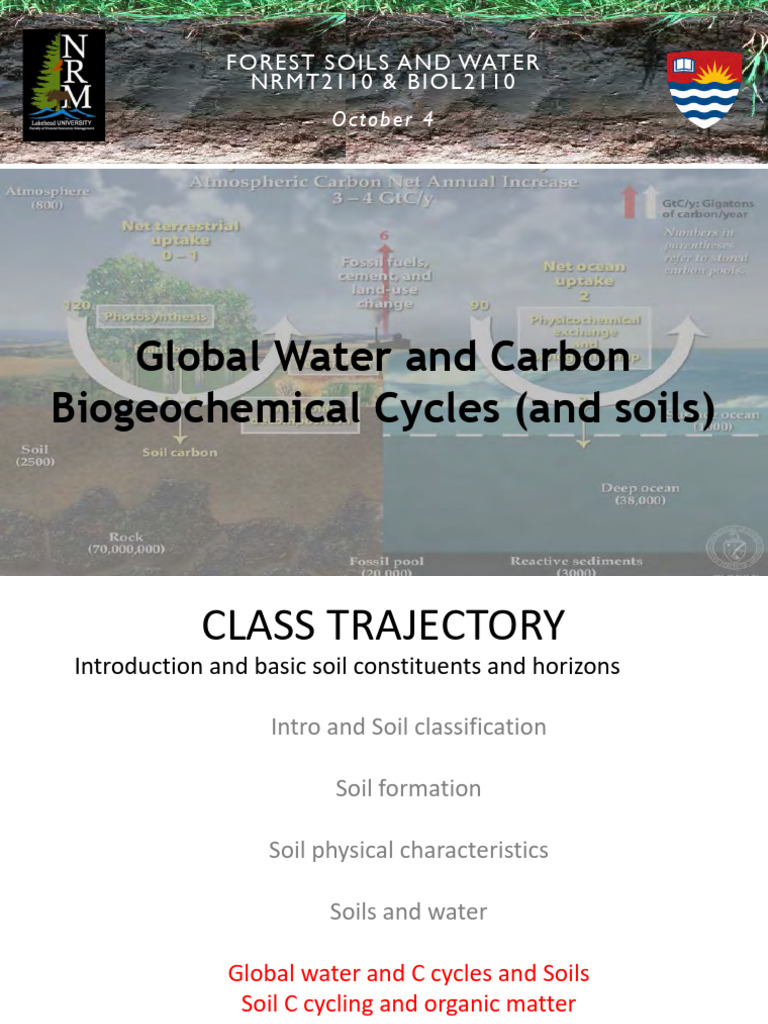 Soils T4a - Biogeochemical | PDF | Soil | Carbon Dioxide