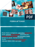 Febra Aftoasa