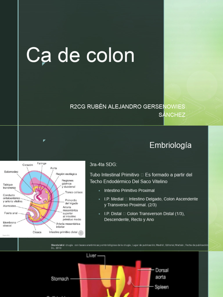 Ca de Colon | PDF | Cáncer colonrectal | Intestino grueso