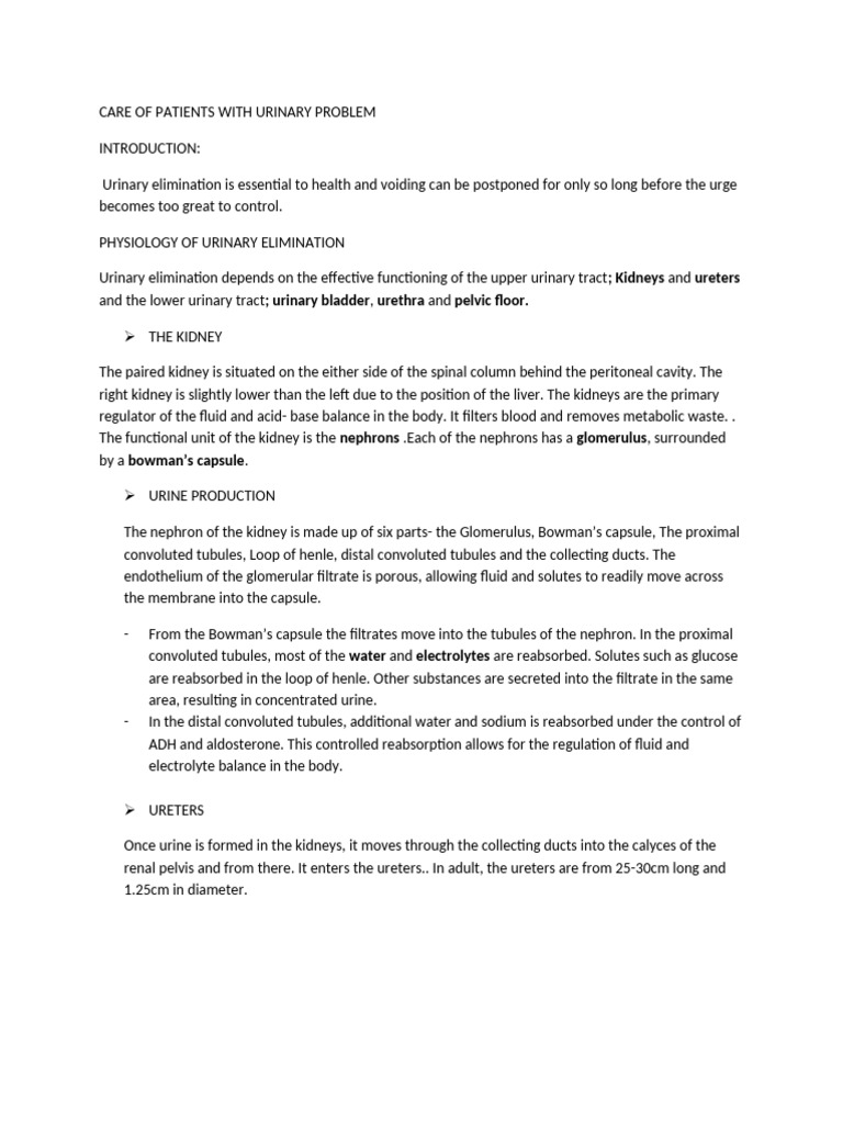 Care of Patients With Urinary Problem | PDF | Urinary Incontinence ...