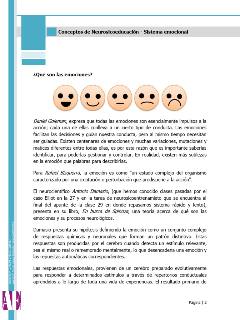 Procesos Emocionales y Sistemas Neuronales | PDF | Las emociones ...
