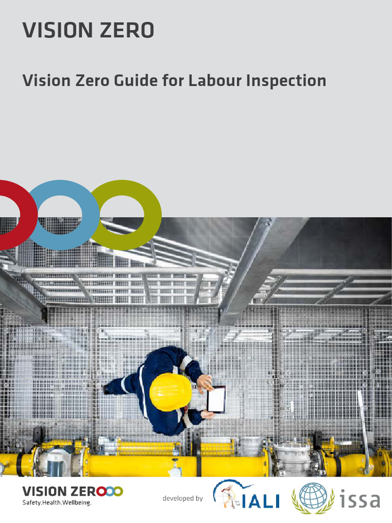 2-VZ-Labour Inspection | PDF | Occupational Safety And Health | Risk
