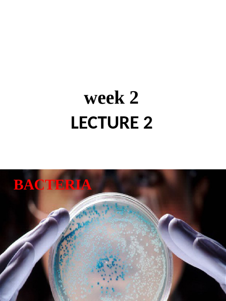 Lecture 2 Bacteria Pdf Bacteria