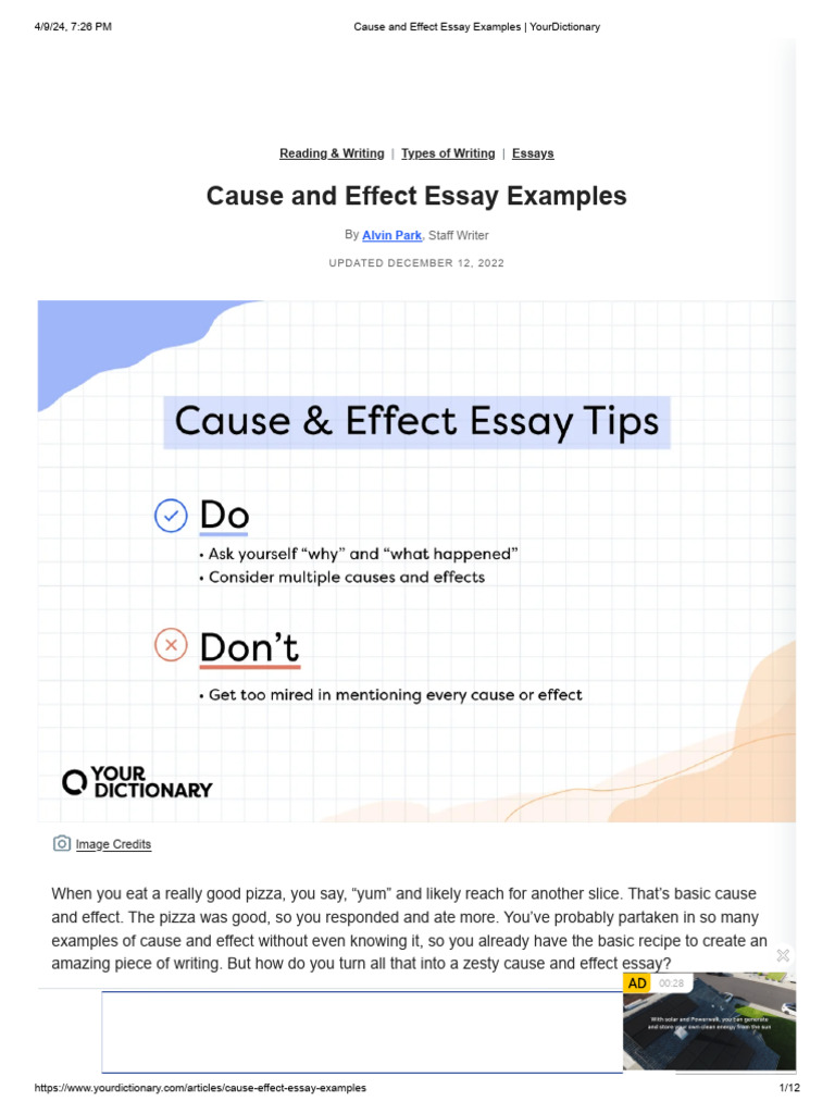 Cause and Effect Essay Guide | PDF | Homelessness | Essays