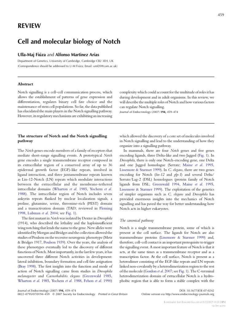 Notch Signaling: Mechanisms and Roles | PDF | Cell Signaling | Biology