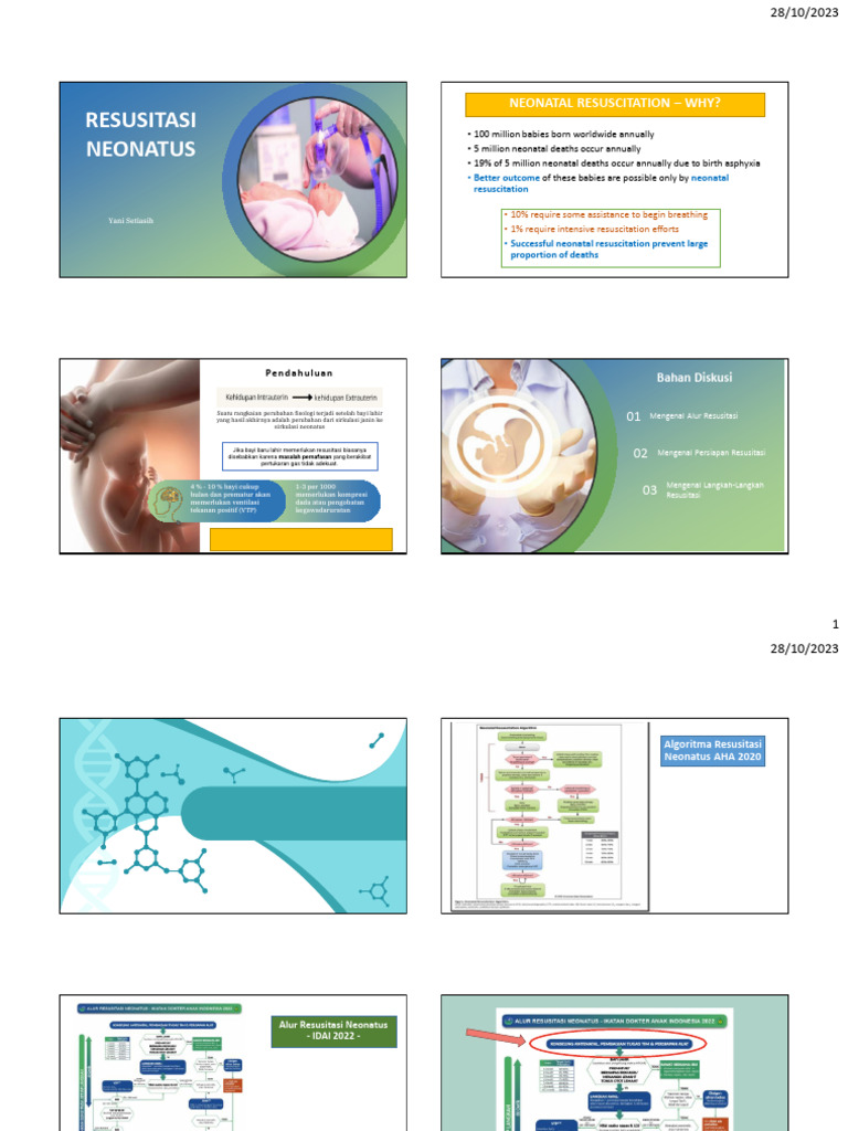 Panduan Resusitasi Neonatus 2023 | PDF