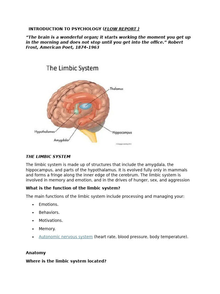 ITP - Limbic System & Cerebral Cortex | PDF | Cerebrum | Limbic System