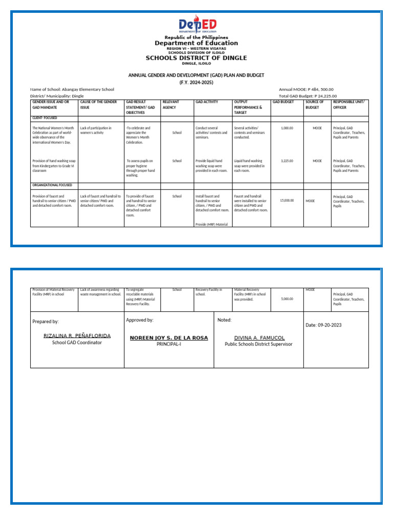 Iloilo GAD Plan & Budget 2024-2025 | PDF