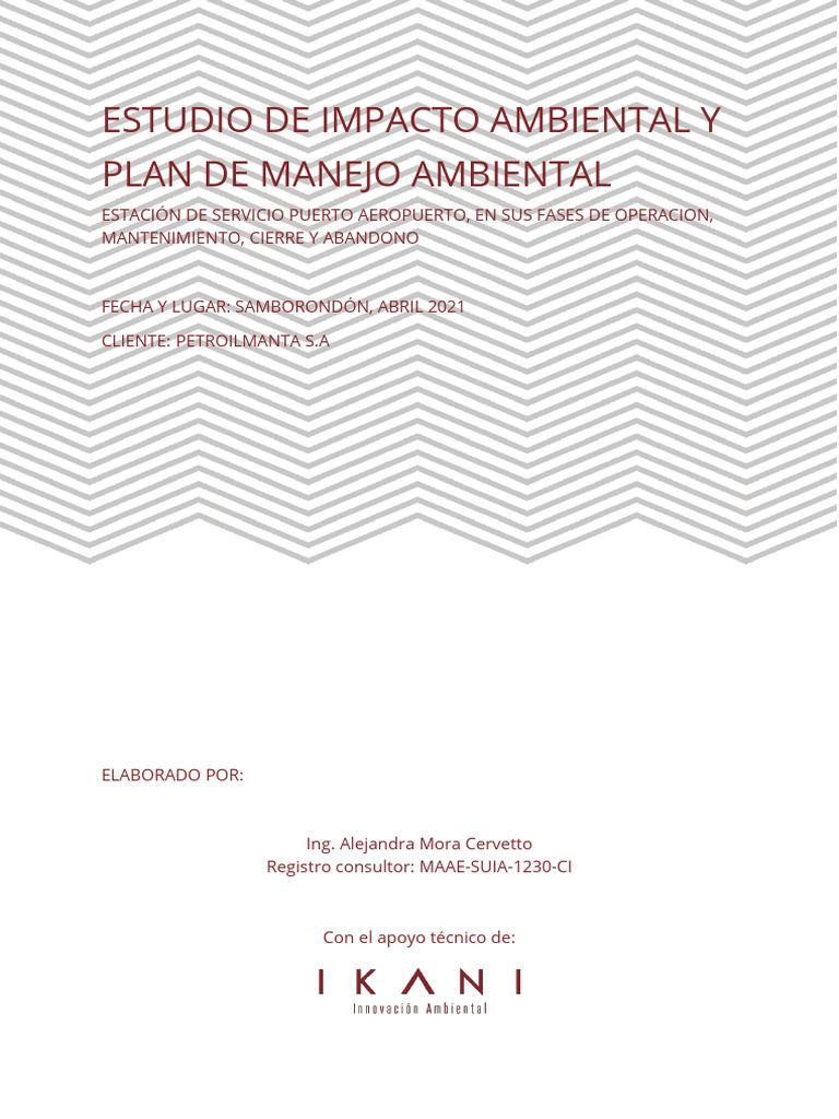 Estudio de Impacto Ambiental EXPOST 041022 | PDF | Riesgo | Entorno natural