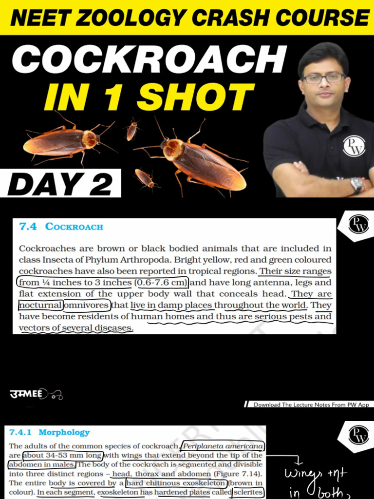 Cockroach Lect Notes60a2326de2e26b00119d0ef8 | PDF