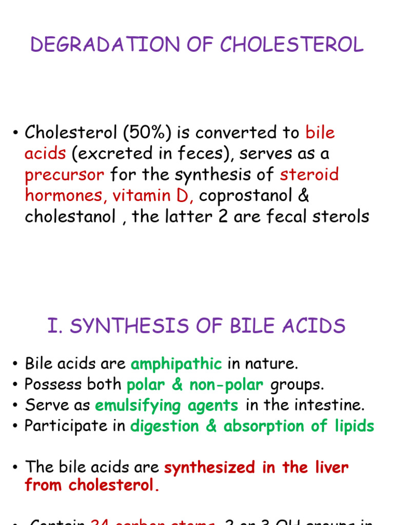 Cholesterol Degradation and Bile Acid Synthesis | PDF | Cholesterol | Bile
