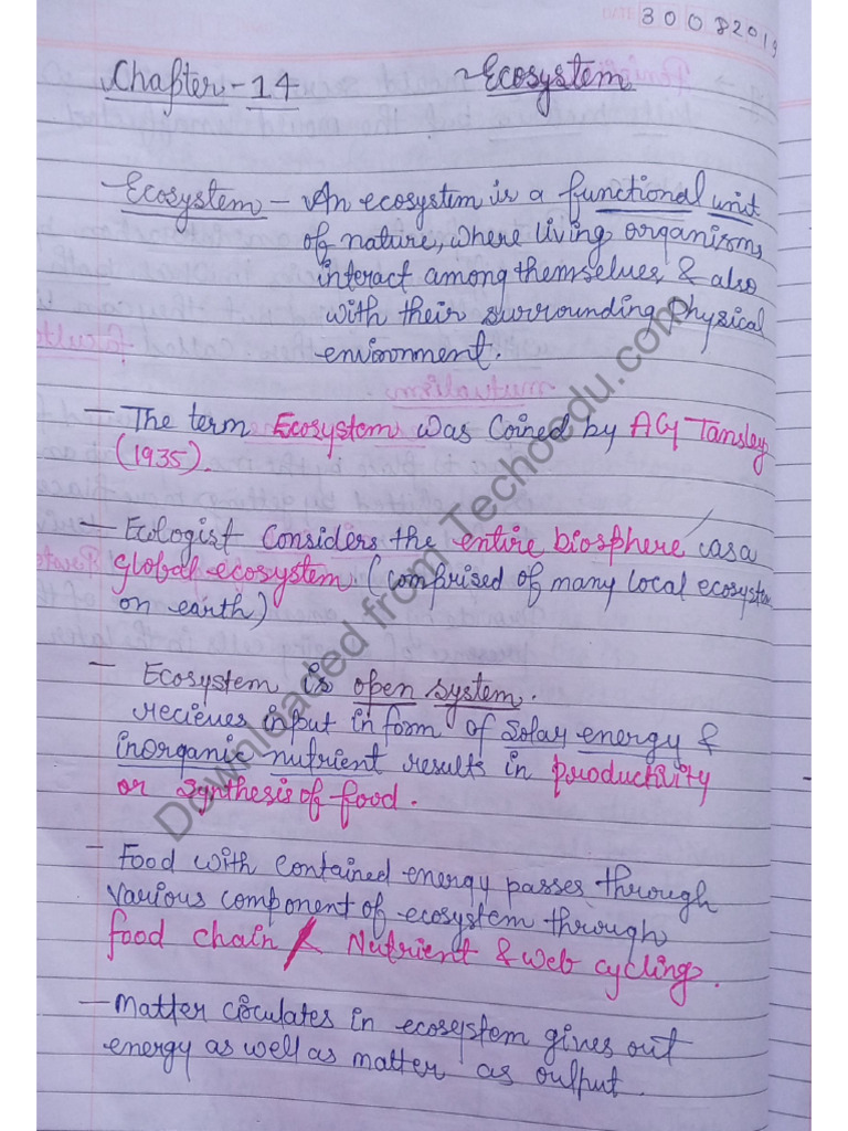 Biology CH 14 | PDF