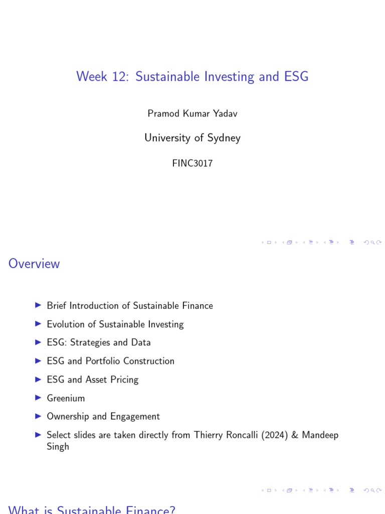 Sustainable Investing and ESG Strategies | PDF | Modern Portfolio ...