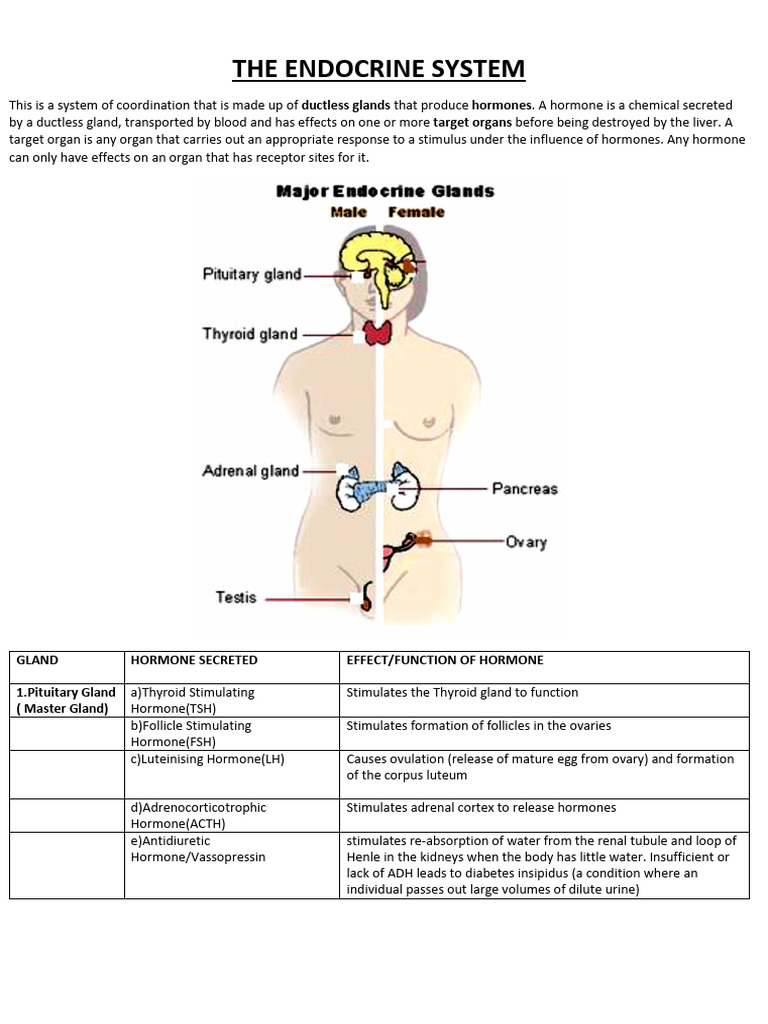 ENDOCRINE SYSTEM NOTES PDF IN HINDI visual data 5