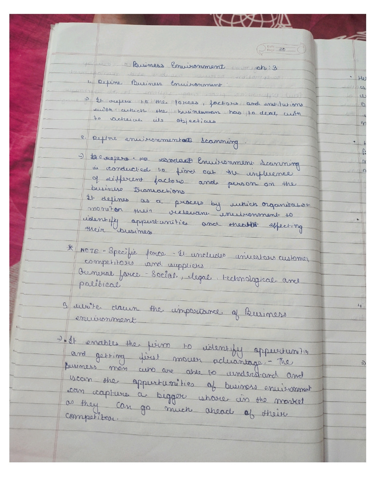 BST CH 3 Business Environment | PDF