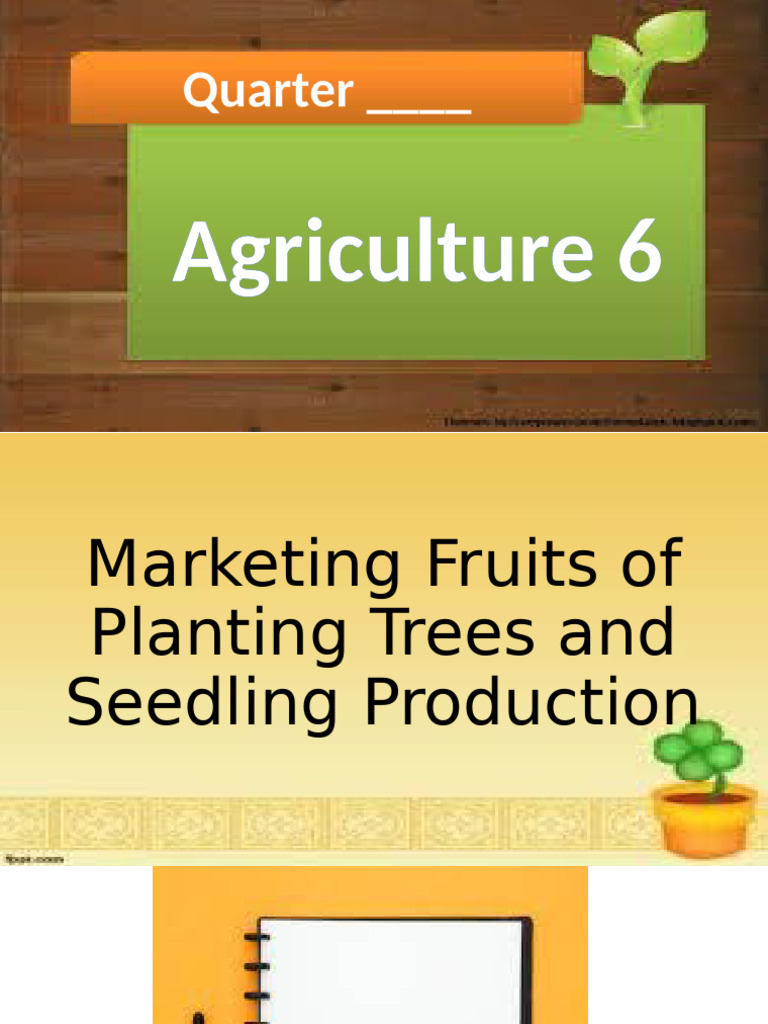 Agriculture Week5 Melc | PDF | Marketing | Plant Nursery