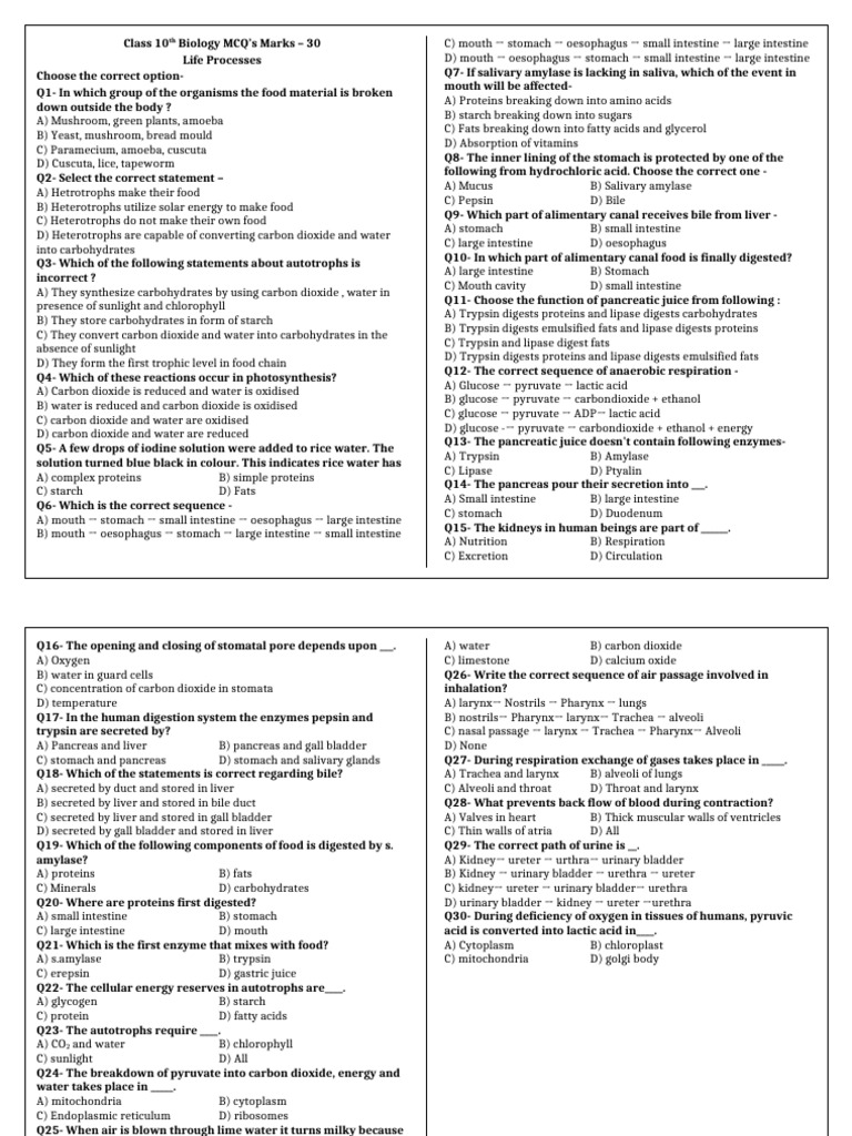 Class 10th Life Processes - 1 | PDF | Digestion | Stomach