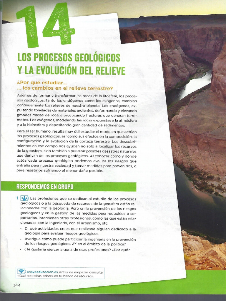 Tema 14 Biología | PDF