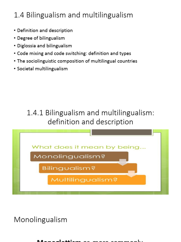 Understanding Bilingualism and Multilingualism | PDF | Multilingualism ...