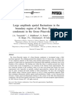 J.A. Tuszynski et al- Large amplitude spatial fluctuations in the boundary region of the Bose–Einstein condensate in the Gross–Pitaevskii regime