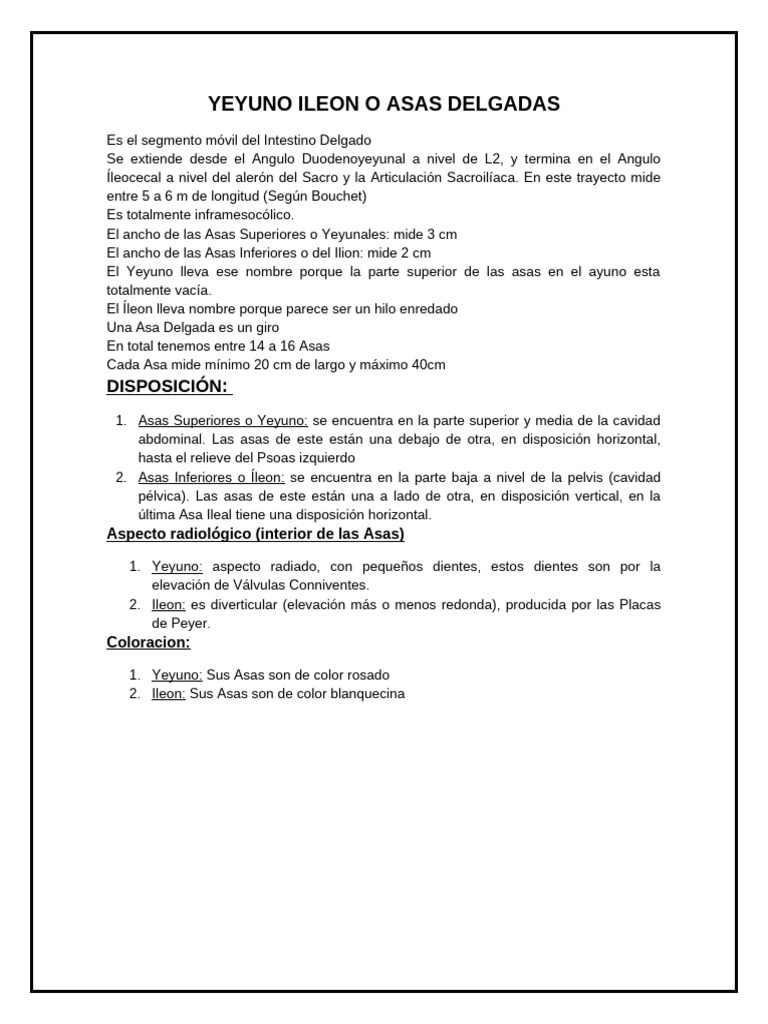 Yeyuno Ileon | PDF | Abdomen | Intestino grueso