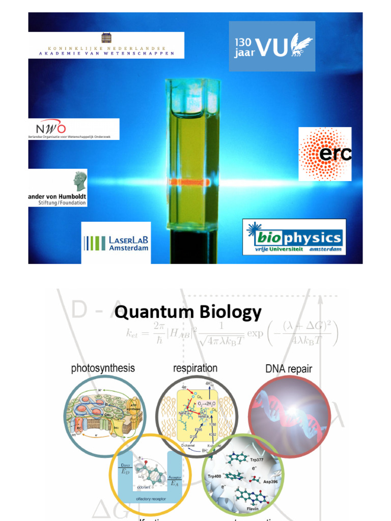 quantumbiolintro_1 | PDF | Coherence (Physics) | Photosynthesis