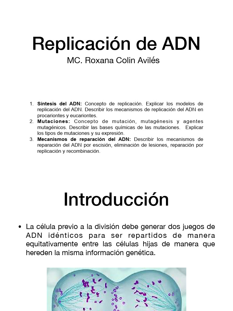 Replicación y reparación del ADN | PDF | Replicación De Adn | Adn