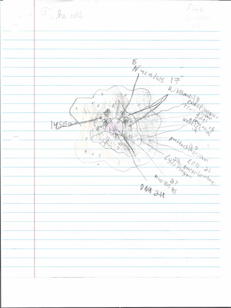 Science - The Cell | PDF