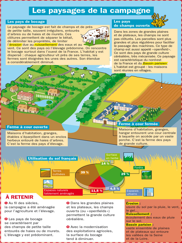 Paysages agricoles en France : bocage et openfield | PDF | Zone rurale ...