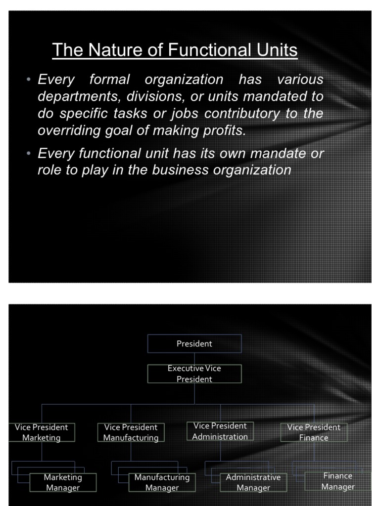 Understanding Functional Units in Nature | PDF | Strategic Management ...