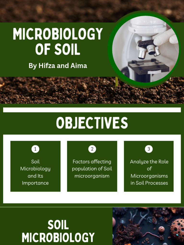 Chapter 02-Micro-organisms-Intro To Bacteria | PDF | Soil | Microorganism