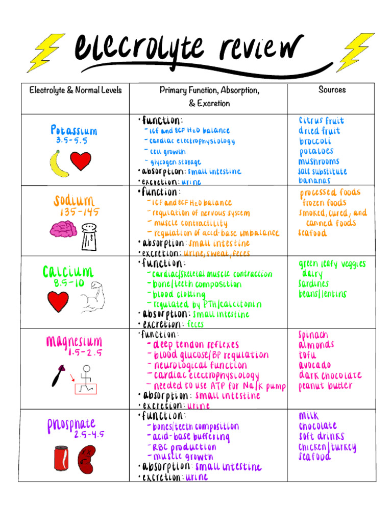 Electrolyte Levels and Functions Guide | PDF | Dehydration | Medical ...