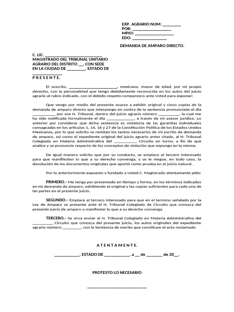 Amparo Directo | PDF | Derechos humanos | Caso de ley