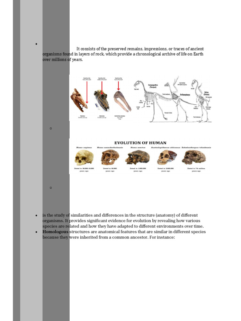 Evidence of Evolution Body | PDF | Evolution | Species