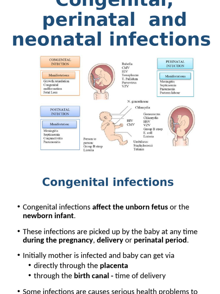 Congenital and Perinatal Infections Overview | PDF | Hepatitis B ...