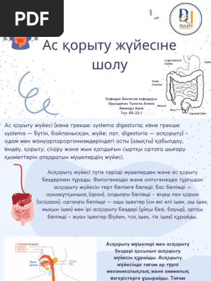 Порно жас бисексуалдар